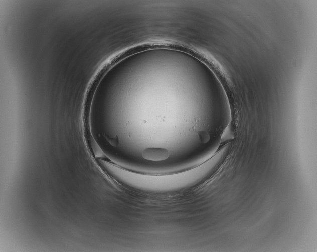 X0000116391327200912091427