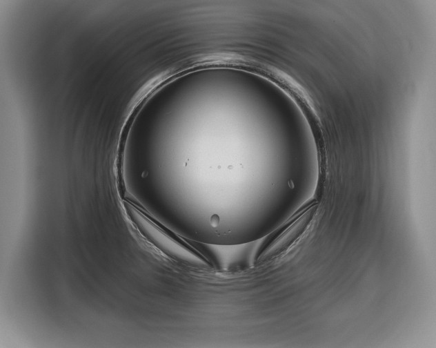 X0000116391330200912091427