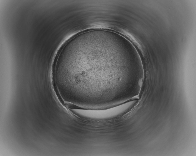 X0000116391331200912091427