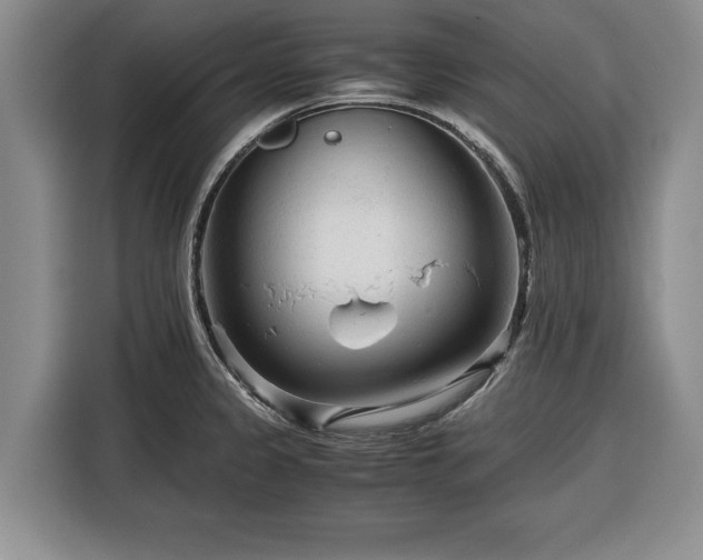 X0000116391333200912091427