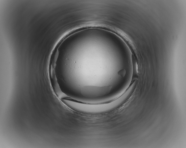 X0000116391334200912091427