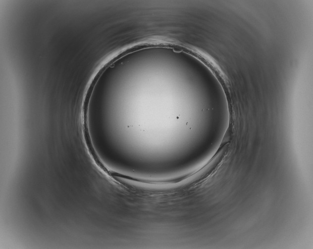 X0000116391335200912091427