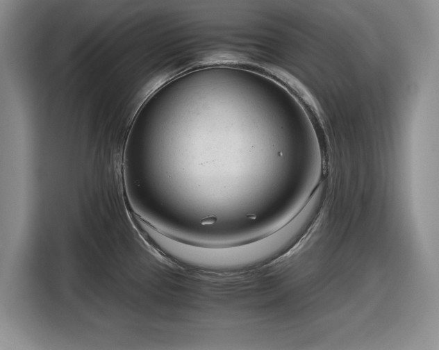 X0000116391337200912091427