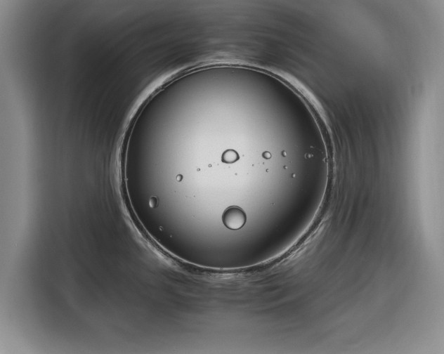X0000116391341200912091427