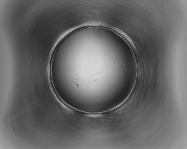 X0000116391343200912091427