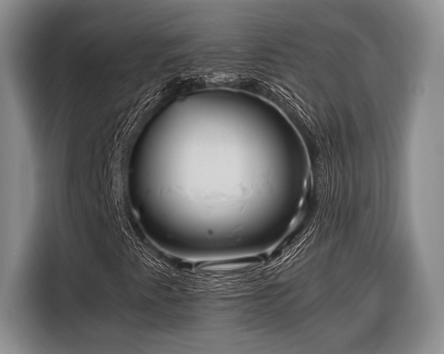 X0000116391345200912091426