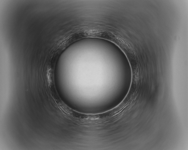 X0000116391346200912091426