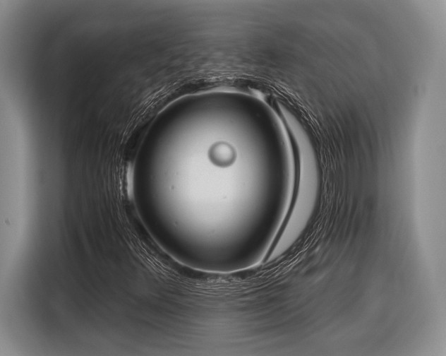 X0000116391348200912091426