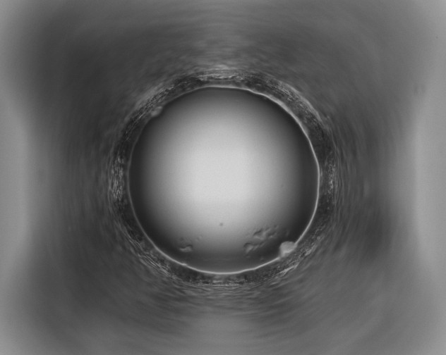 X0000116391350200912091426