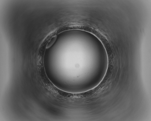 X0000116391351200912091426