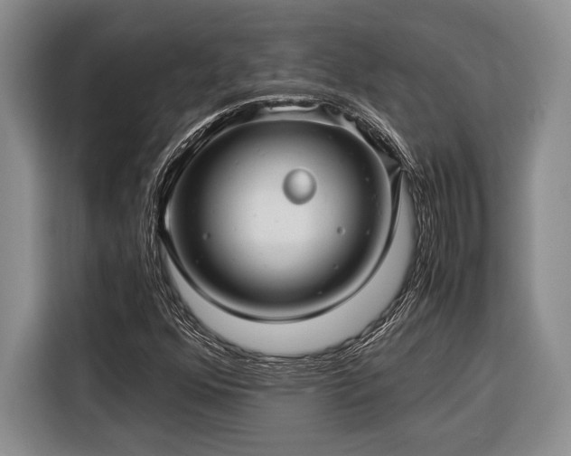 X0000116391352200912091426