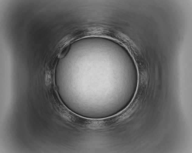 X0000116391353200912091426