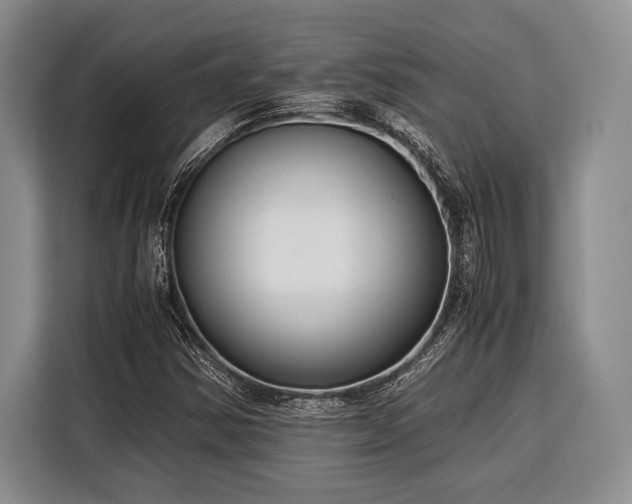 X0000116391354200912091426