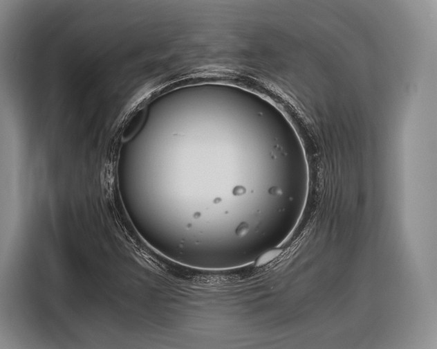 X0000116391355200912091426