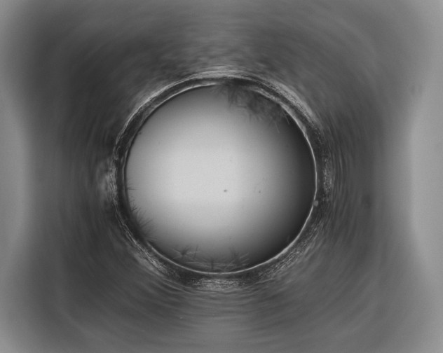 X0000116391356200912091426