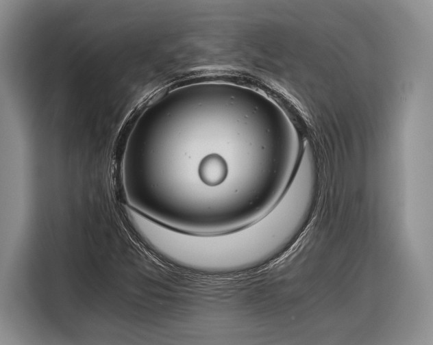 X0000116391357200912091426