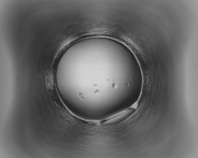 X0000116391358200912091426