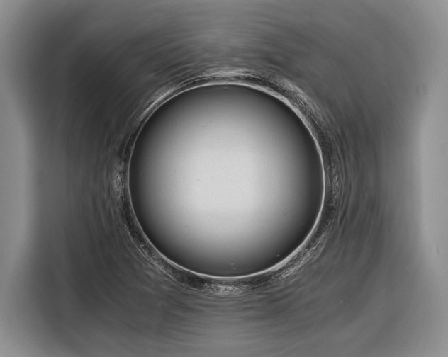 X0000116391361200912091426