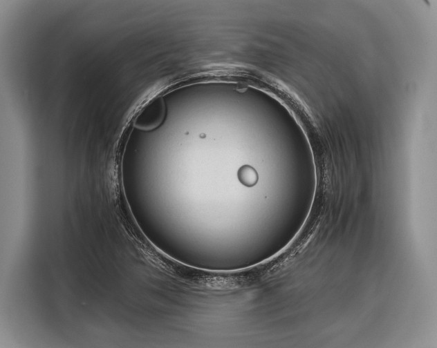 X0000116391362200912091426