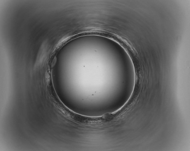X0000116391363200912091426