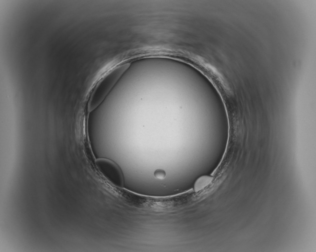 X0000116391365200912091426