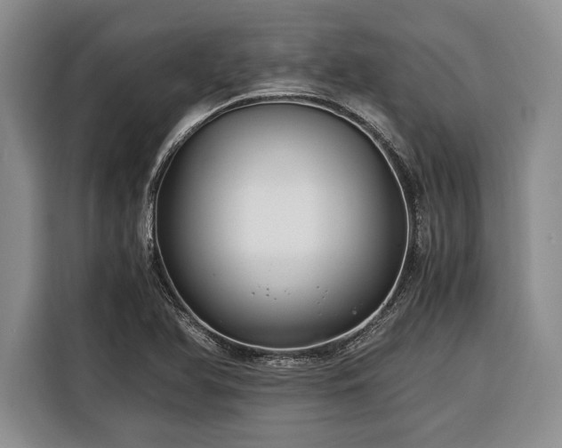 X0000116391366200912091426