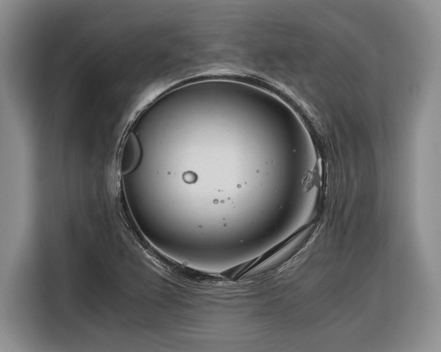 X0000116391367200912091426