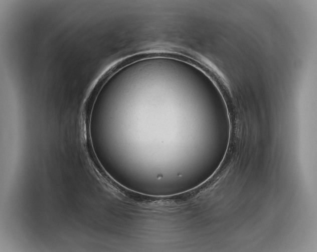 X0000116391368200912091426