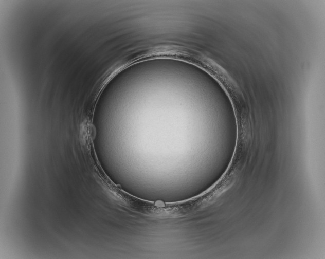 X0000116391369200912091426