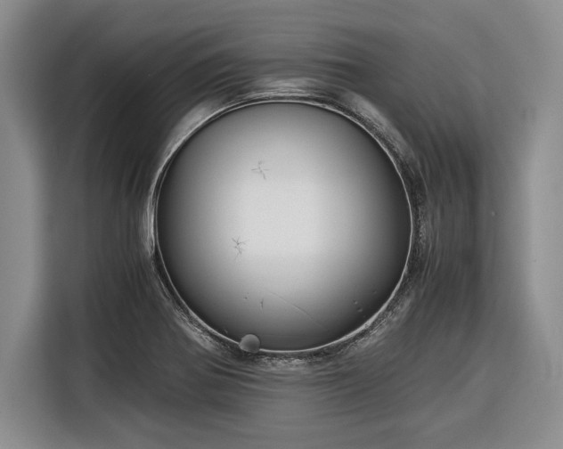 X0000116391370200912091426
