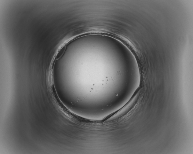 X0000116391371200912091426