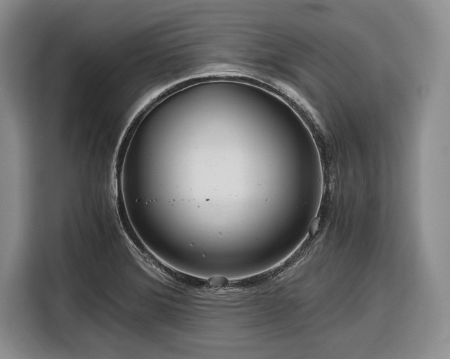 X0000116391372200912091426