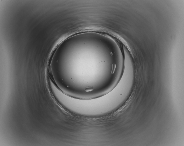 X0000116391373200912091426