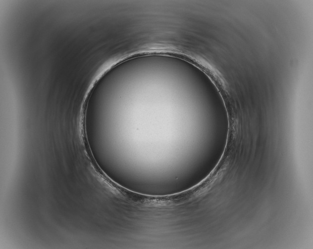 X0000116391374200912091426