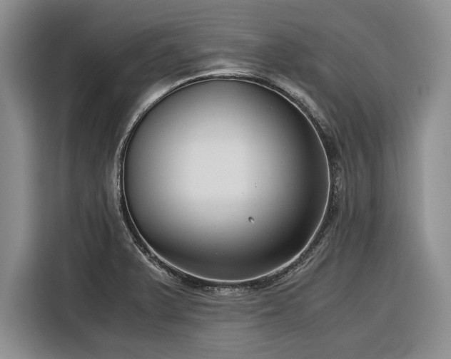 X0000116391375200912091426