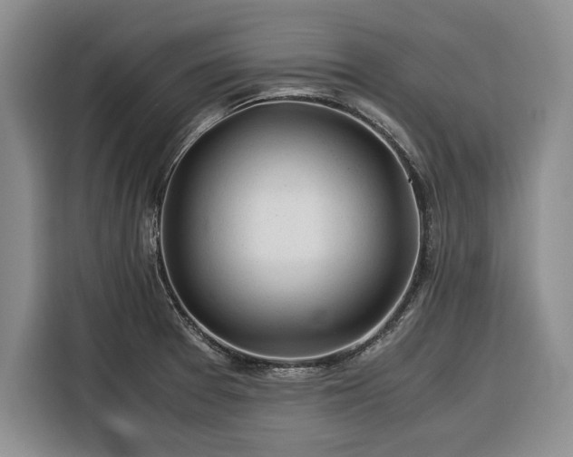 X0000116391377200912091426