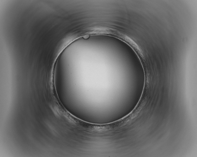 X0000116391378200912091426