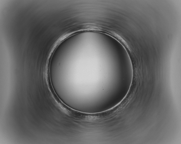 X0000116391379200912091426