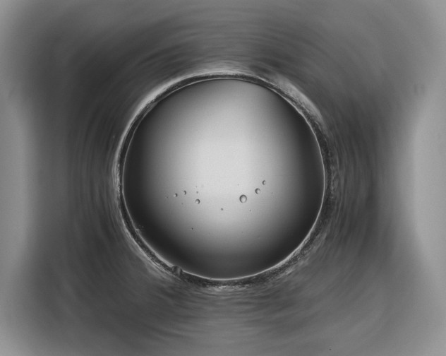 X0000116391380200912091426