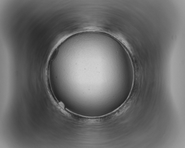X0000116391381200912091426