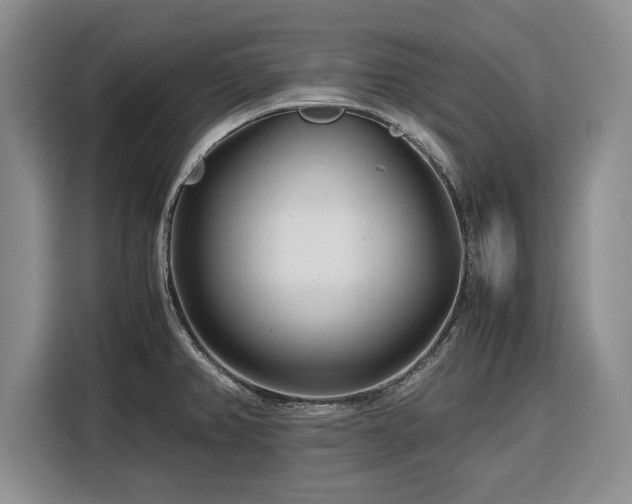 X0000116391382200912091426