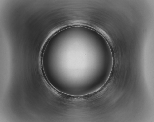 X0000116391384200912091426