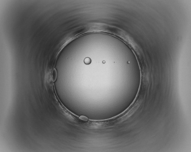 X0000116391385200912091426
