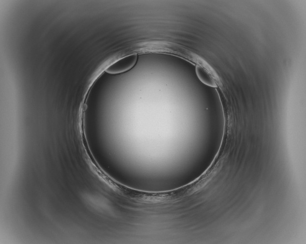X0000116391386200912091426