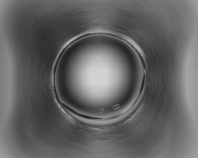 X0000116391388200912091426