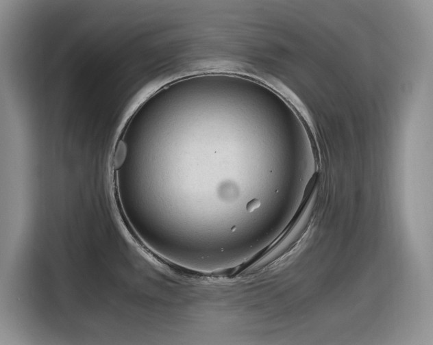 X0000116391389200912091426