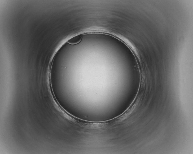X0000116391390200912091426