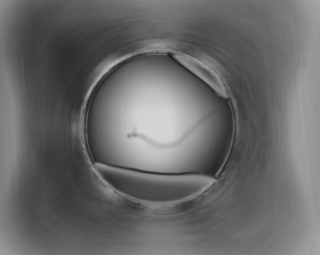 X0000116391392200912091426