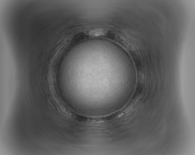 X0000116391393200912091425