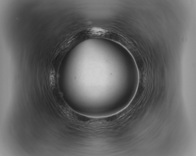 X0000116391394200912091425